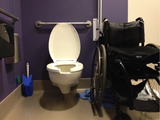 Toilet seat is significantly lower than wheelchair.