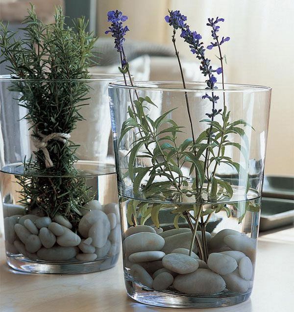 Stones at the bottom of a clear glass, filled halfway with water, with plants coming out of glass
